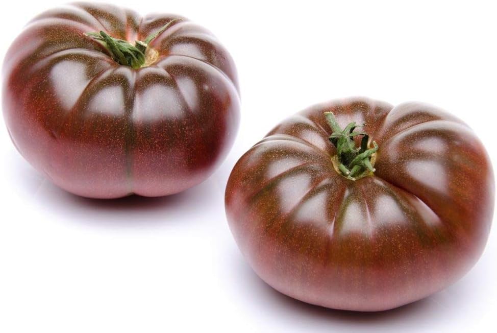 Seeds Vegetable Tomato Black Prince - 50 Seeds
