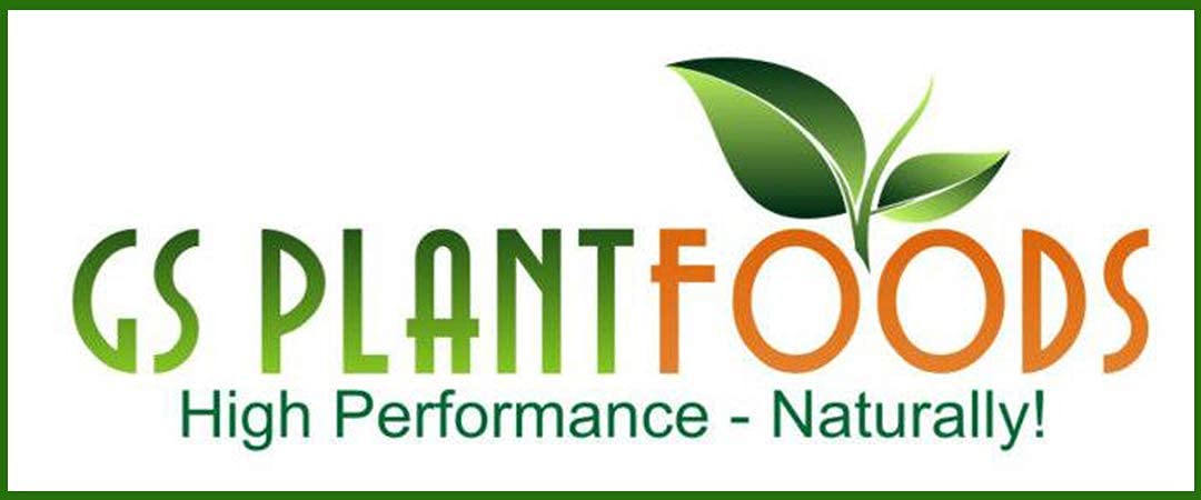 GS Plant Foods Liquid Fish & Kelp Fertilizer (1 Gallon) – Organic Material Review Institute Listed Natural Plant Food for Home Gardens, Lawns, and Vegetables