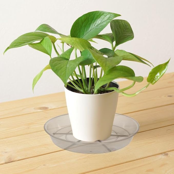 Plant Saucer, Plant Saucers 10 inch 2 Pieces, Plant-Saucers