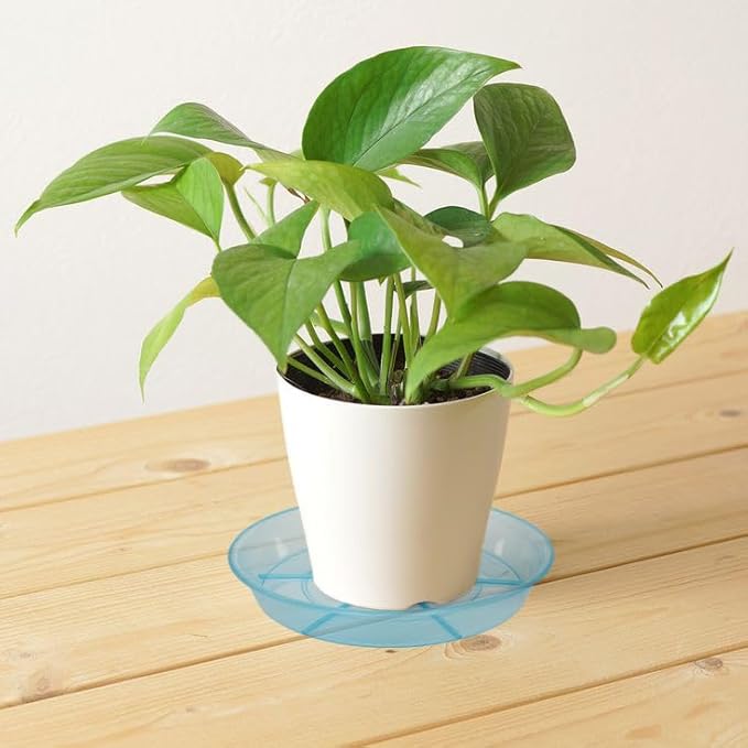 Plant Saucer, Plant Saucers 10 inch 2 Pieces, Plant-Saucers