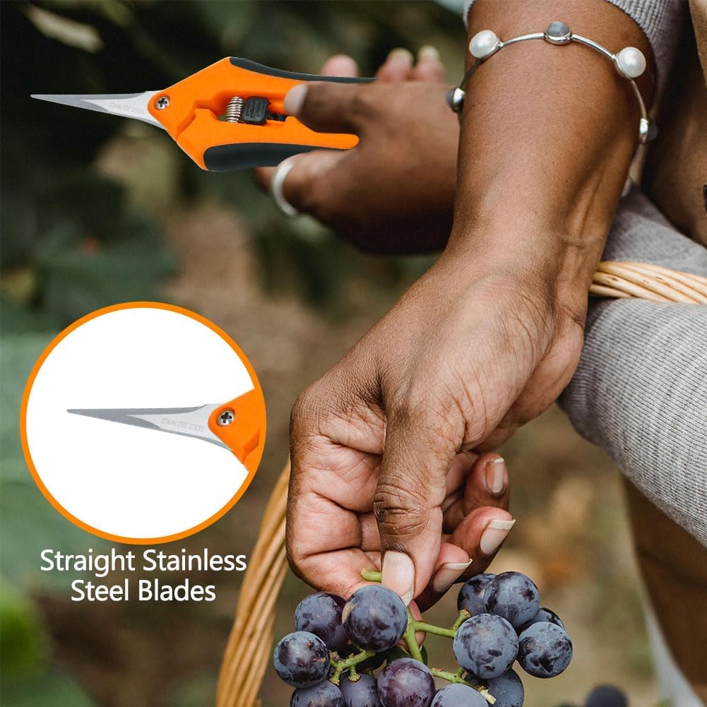 HAISHANG 2Pack Pruning Shears, 6.5 Inch Garden Shears, Gardening Scissors with Straight Stainless Steel Precision Blades for Trimming Plant, Herb, Flower, Hedge, Rose, Bonsai