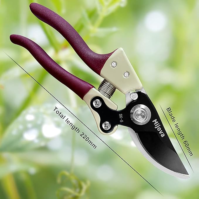 Stainless Steel Plant Shears