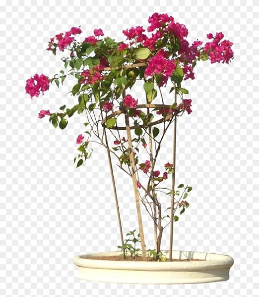 5 Pounds Super Absorbent Potassium Polymer - Soil Moisture Retention for All Plants
