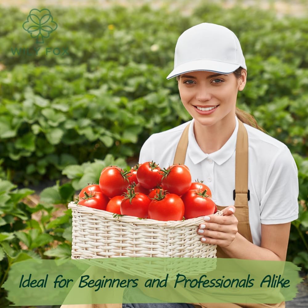 Premium Big Tomato Seeds β 300 Heirloom Non-GMO Seeds for Planting - Juicy, Large Red Tomatoes - Ideal for Home Garden, Outdoor, Patio, Containers, Vegetables, Fresh Tomato Gardening