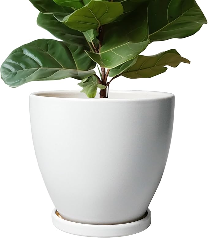 Ceramic Planter - 10 Inch Plant Pot with Drainage Hole and Tray, Flower Pot Planters for Indoor Plants, Modern Room Garden Patio Bathroom Living Room Porch Home Decor, White