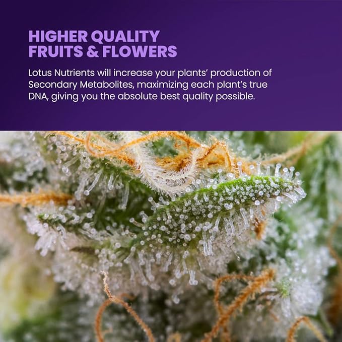 Lotus Nutrients Cal-Mag Pro Series - All Natural Premium Powdered Plant Nutrients with Calcium and Magnesium for Hydroponic Coco Coir and Soil | Improve Plant Health Indoor and Outdoor Gardens (30oz)