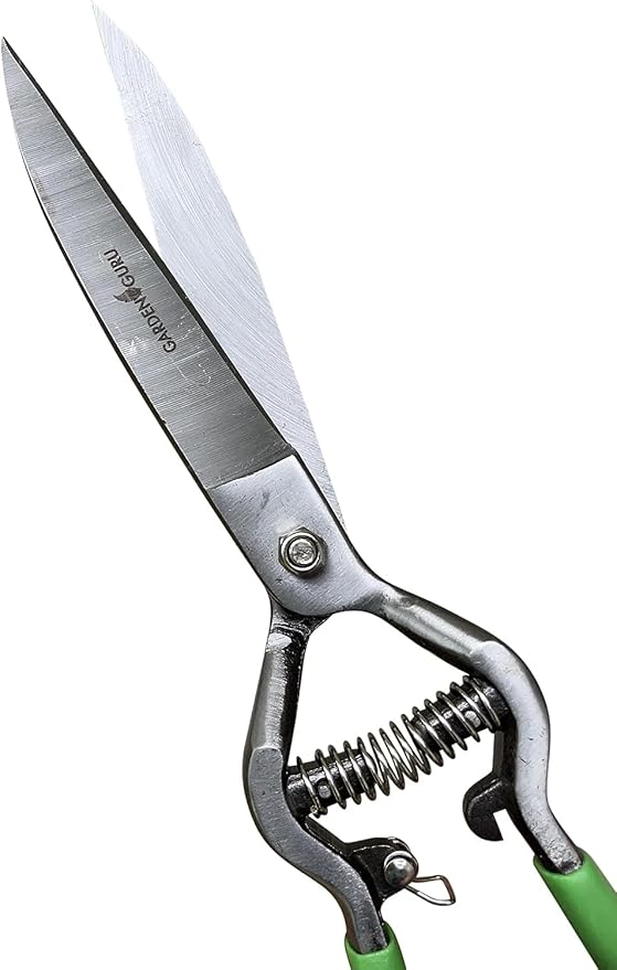 GARDEN GURU Hand Grass Clipper Scissors – Classic Forged Steel Grass Shears Pruners – Comfort Grip Handles – Perfect for Hand Edging Lawn, Trimming Shrubs & Flowers, Gardening, Landscaping