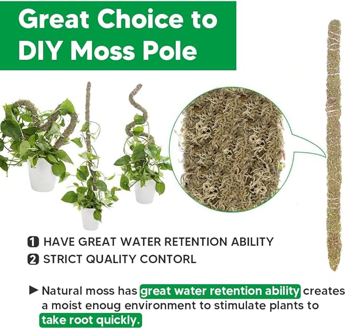 Natural Long Fiber Sphagnum Moss 34QT for Orchid Potting Mix, and Moss Pole for Plants Indoor. Ideal for Propagating Plants, Maintaining Humidity for Reptiles, Isopods in Paludarium, Aquascape (10 OZ)