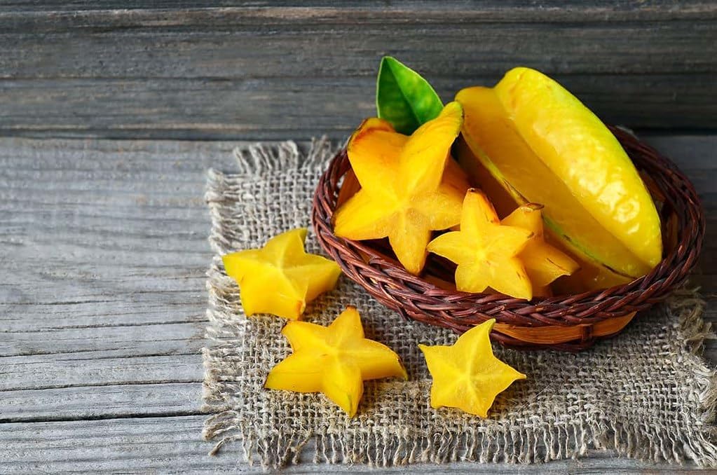 GARDENERA Premium Carambola Potting Soil Mix - Perfect Balance of Nutrients, Drainage, and Aeration for Thriving Starfruit Trees - 10 Quart