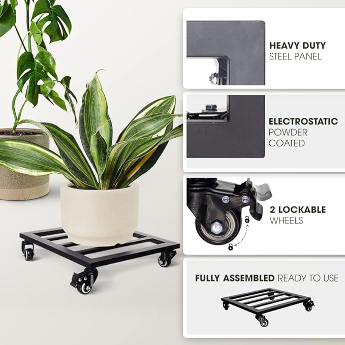 IDZO Plant Caddy with Wheels Lockable Heavy Duty Trolley Capacity 385 Lbs, Metal Cast Iron Plant Dolly, Plant Stand with Wheels Repositioning Heavy Pots 12Inch, Hauling Heavy Household Items - Black