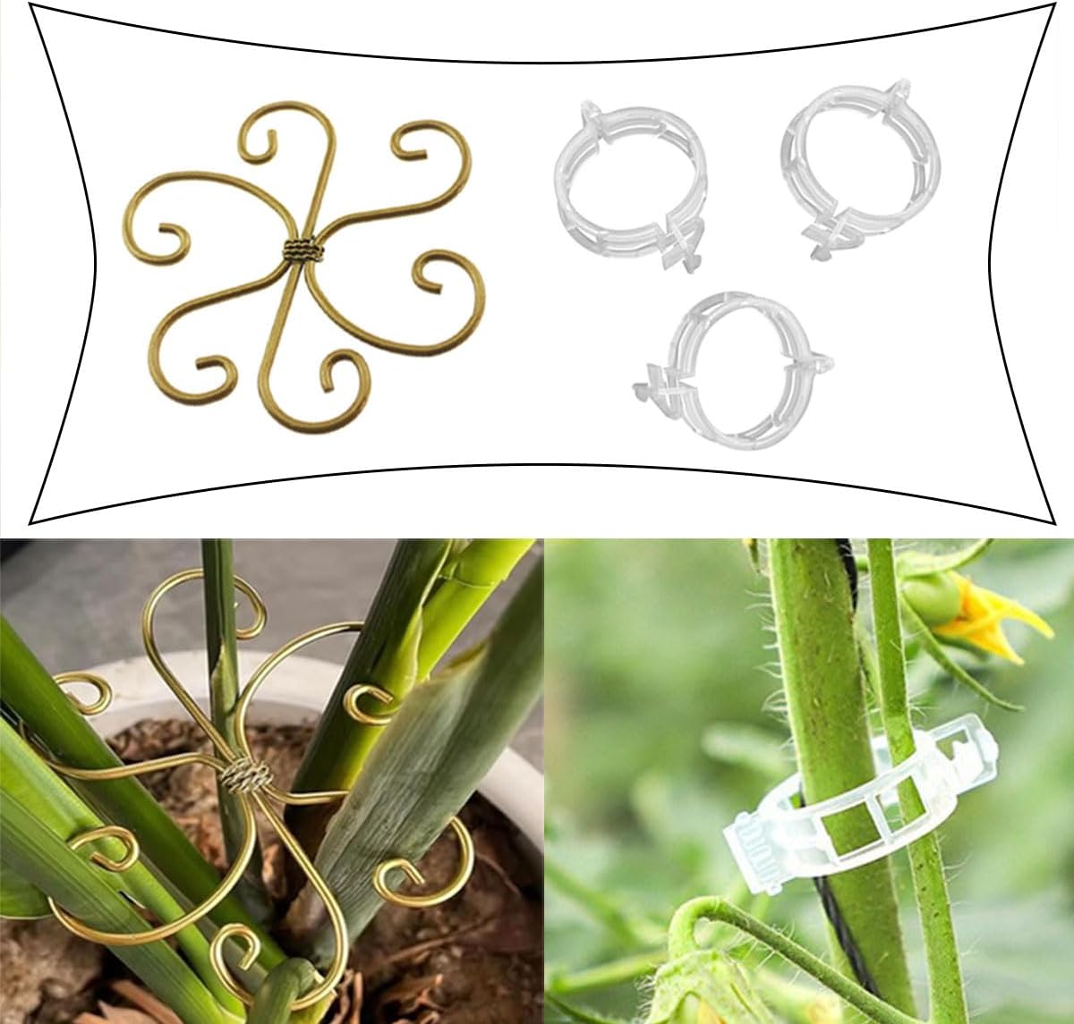 QAZXCDEW-Plant Stem Support,Vertical Growth Support,Plant Stem Holder,Combining Two Styles Delivery of 50 Plastic Plant Clips for Thriving Growth Middle and Small Climbing Plants-8pcs