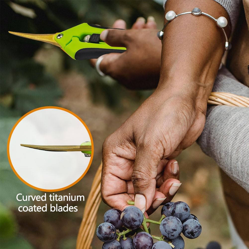 HAISHANG Pruning Shears, 6.5 Inch Garden Shears, Gardening Scissors with Titanium Coated Curved Precision Blades for Trimming Plant, Herb, Flower, Hedge, Rose, Bonsai