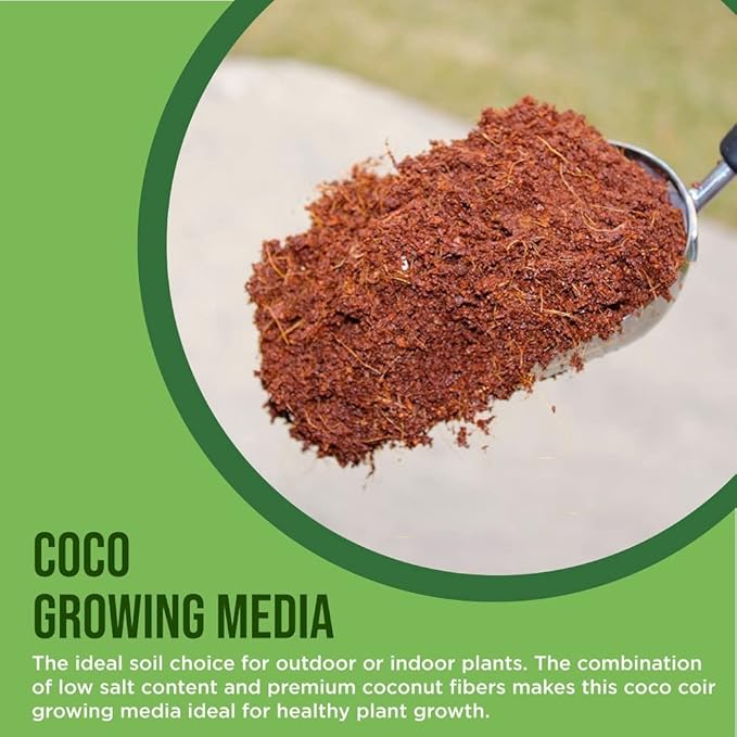 Coco Coir for Plants 3-Pack Envelor 2.4 Gallons Compressed Coconut Coir Bricks 10 lb. Organic Coconut Coir Bulk Low EC pH Balanced Natural Coco Peat for Indoor and Outdoor Gardening Potting Soil
