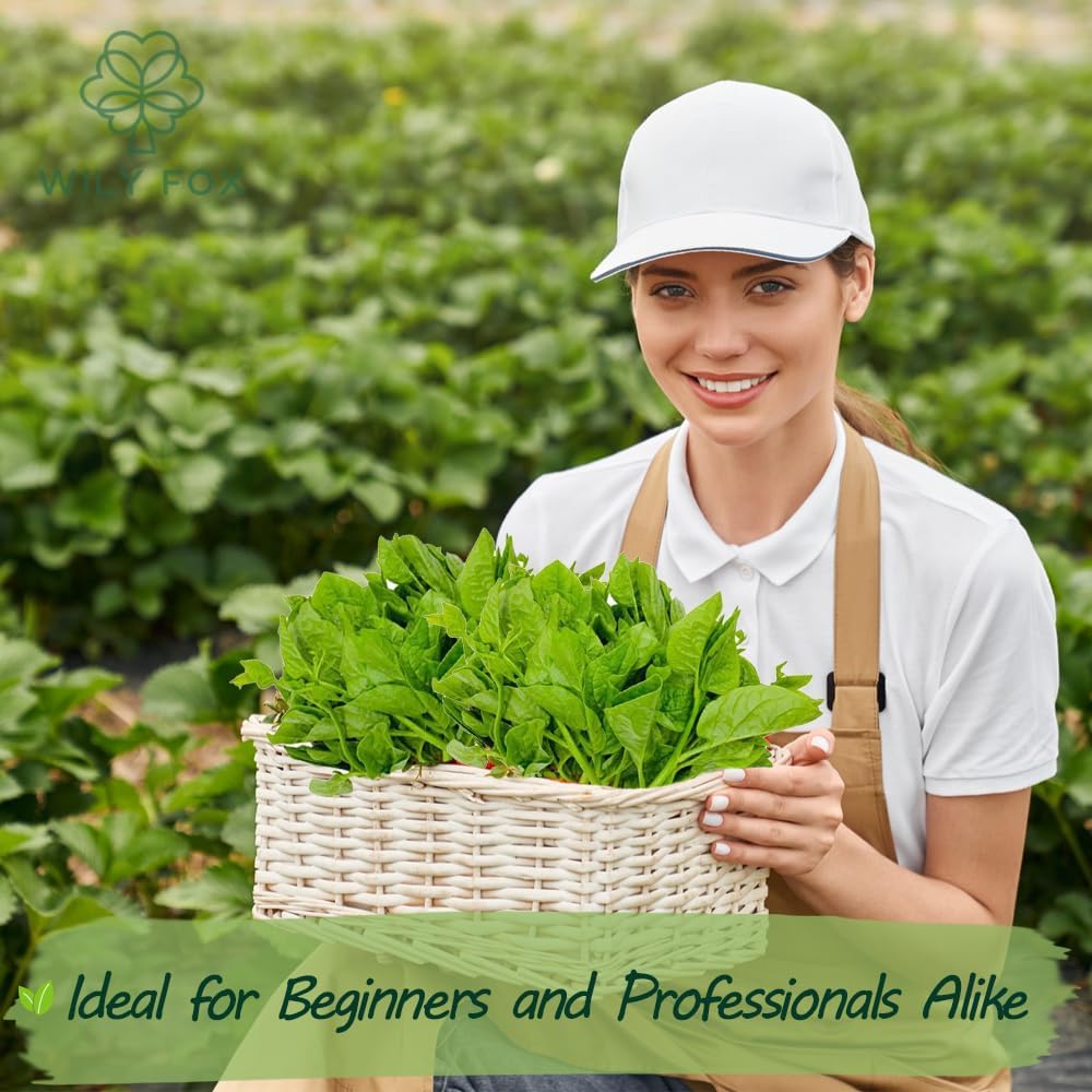 Premium Malabar Spinach Seeds - 100 Heirloom, Non-GMO Seeds for Planting β Easy-to-Grow Climbing Vegetable, Fast Growing Summer Green for Garden or Patio