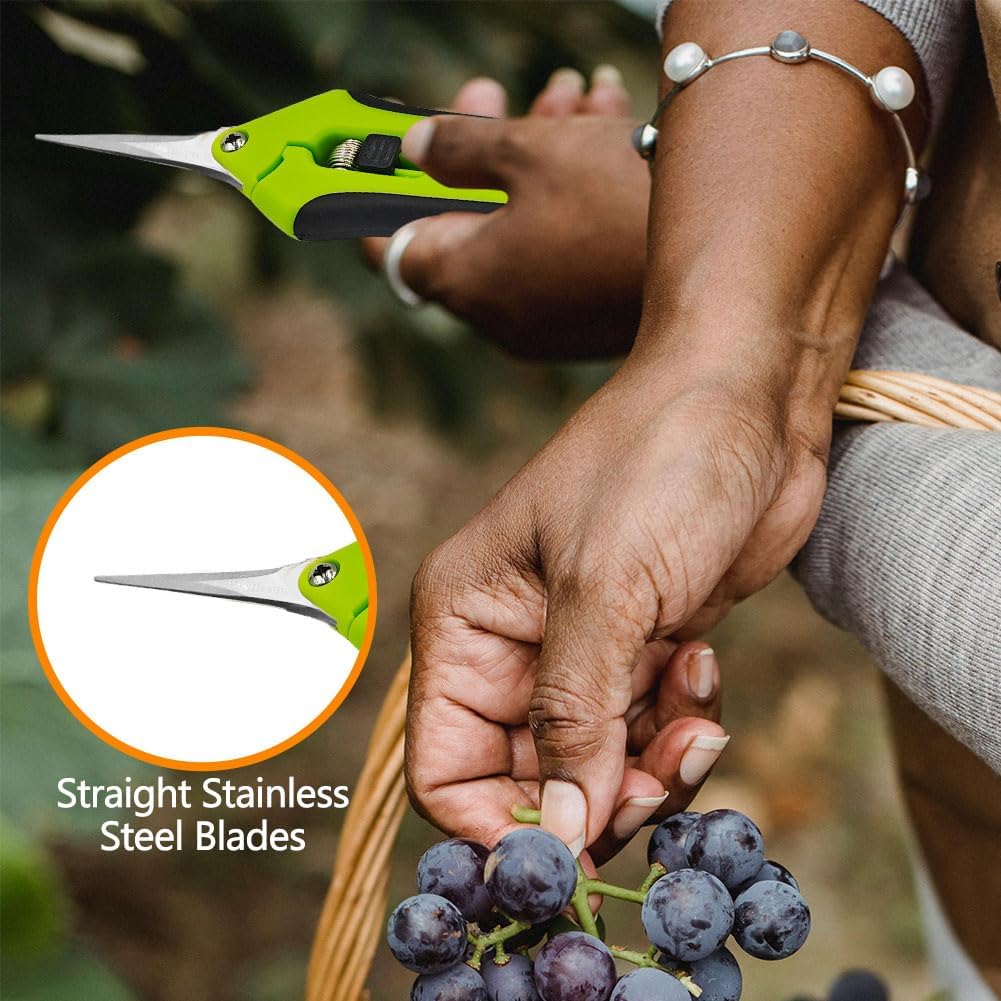 HAISHANG Pruning Shears, 6.5 Inch Garden Shears, Gardening Scissors with Straight Stainless Steel Precision Blades for Trimming Plant, Herb, Flower, Hedge, Rose, Bonsai