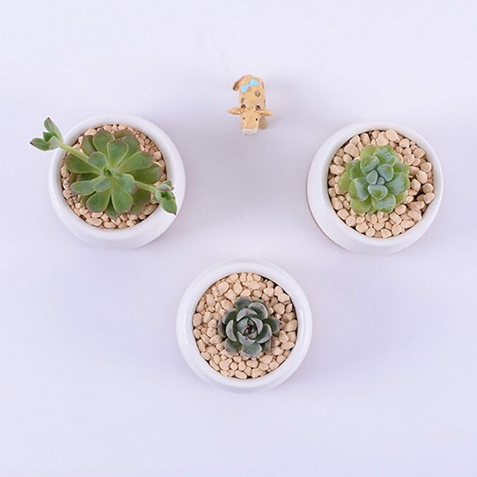 Succluent Pots ,Small Flower Pots Planter Pots with Drinage,Ceramic Flowers Pots with Bamboo Tray for Cactus(12 Pack
