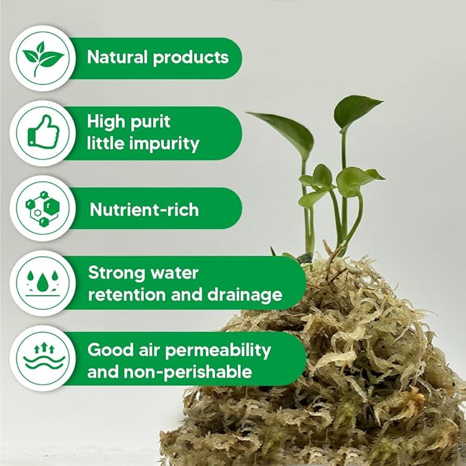 Natural Long Fiber Sphagnum Moss 42QT for Orchid Potting Mix, and Moss Pole for Plants Indoor. Ideal for Propagating Plants, Maintaining Humidity for Reptiles, Isopods in Paludarium, Aquascape (12 OZ)