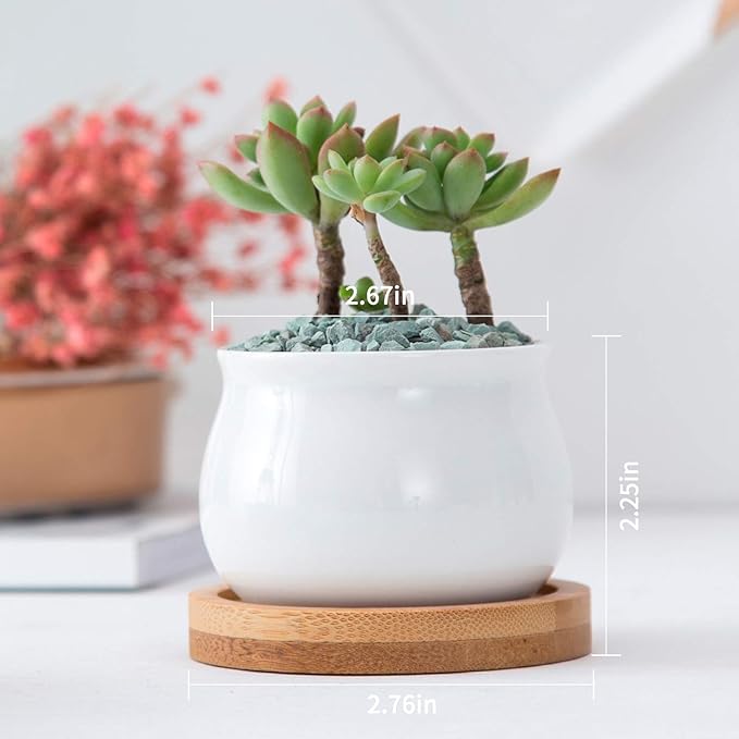 Succluent Pots ,Small Flower Pots Planter Pots with Drinage,Ceramic Flowers Pots with Bamboo Tray for Cactus(12 Pack