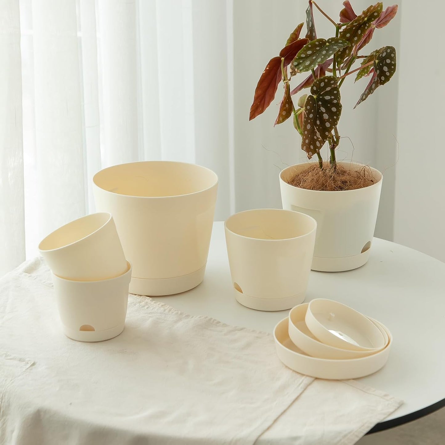 5 Pack Plastic Planters with Drainage, Self Watering Pots for Indoor Plants, Small Cute Plastic Pots in 5 Sizes, Ideal for Indoor Plants (Cream White)