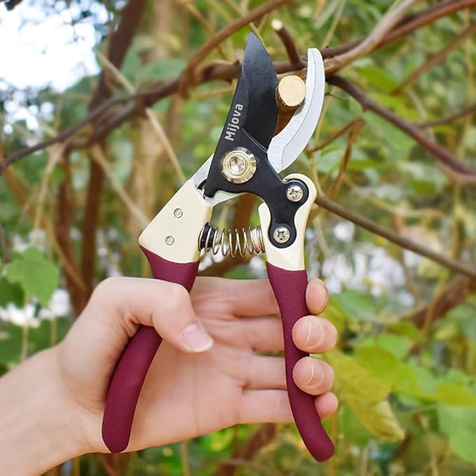 Stainless Steel Plant Shears