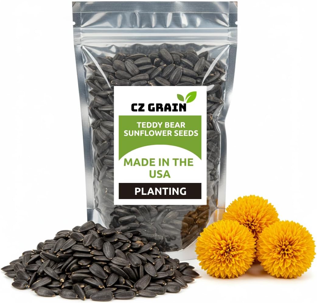 100 Teddy Bear Sunflower Seeds for Planting – Ultra-Fluffy Golden Blooms with Round Heads – Perfect for Gardens, Containers, and Pollinator-Friendly Landscaping - Unique and Fun