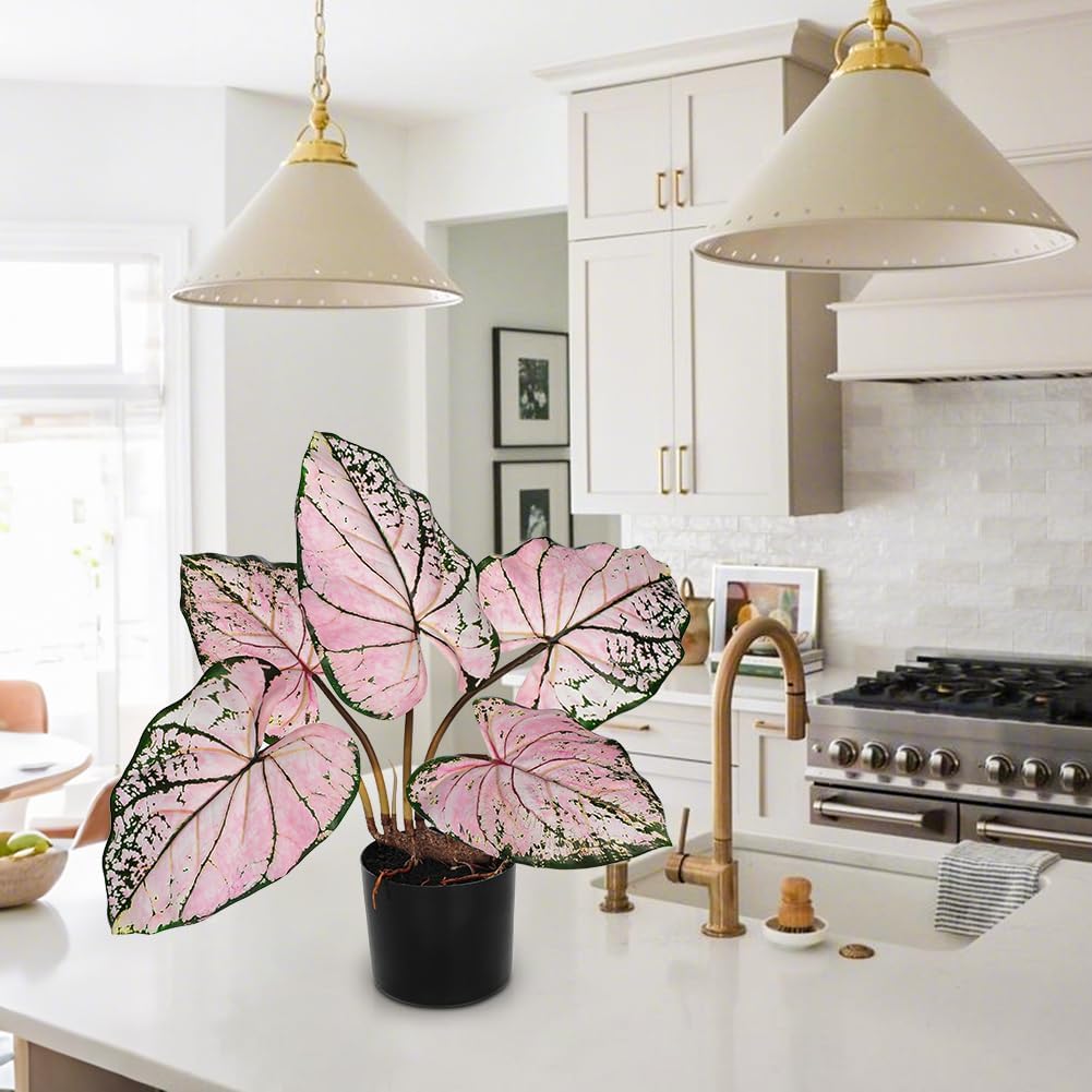 Briful 22'' Tall Fake Plants Artificial Caladium Plants in Black Pot Realistic Potted Faux Plant Indoor for Home Decor Wedding Farmhouse Centerpiece, Wide Pink-Black Leaf