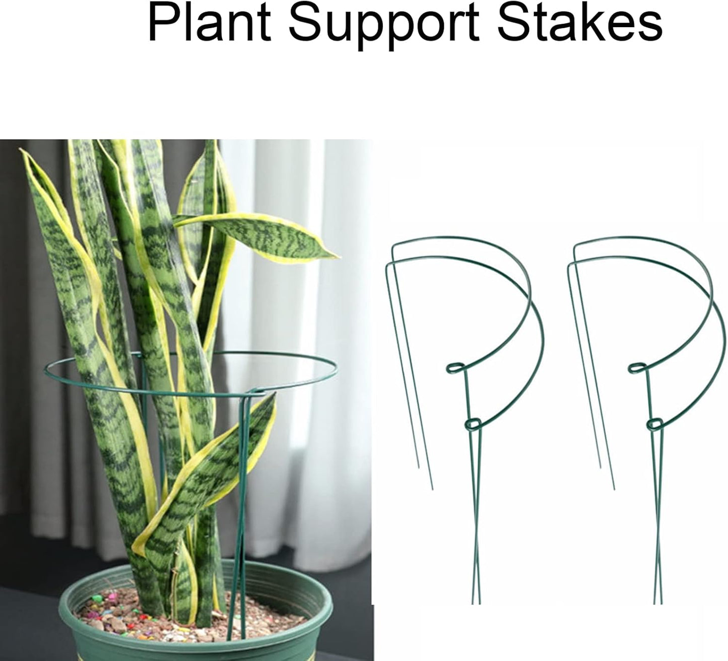 Plant Support Stakes,10Pack Metal Garden Plant Stake,Green Plant Support Ring Cage for Tomato,Rose,Flowers (10)