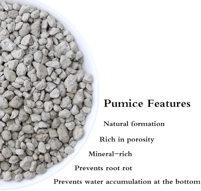 Voulosimi Garden Pumice Rock Horticultural Cactus Bonsai Succulent Soil Additive for Plants, Landscaping, Vase Fillers (1/4 inch, 10 LB)