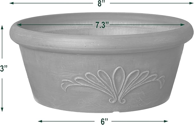 Arcadia Garden Products PSW TA20DC Bulb Pan, 8 by 3-Inch, Dark Charcoal, 8"x3"