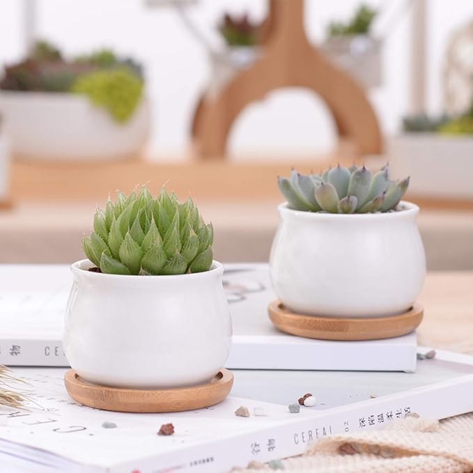Succluent Pots ,Small Flower Pots Planter Pots with Drinage,Ceramic Flowers Pots with Bamboo Tray for Cactus(12 Pack