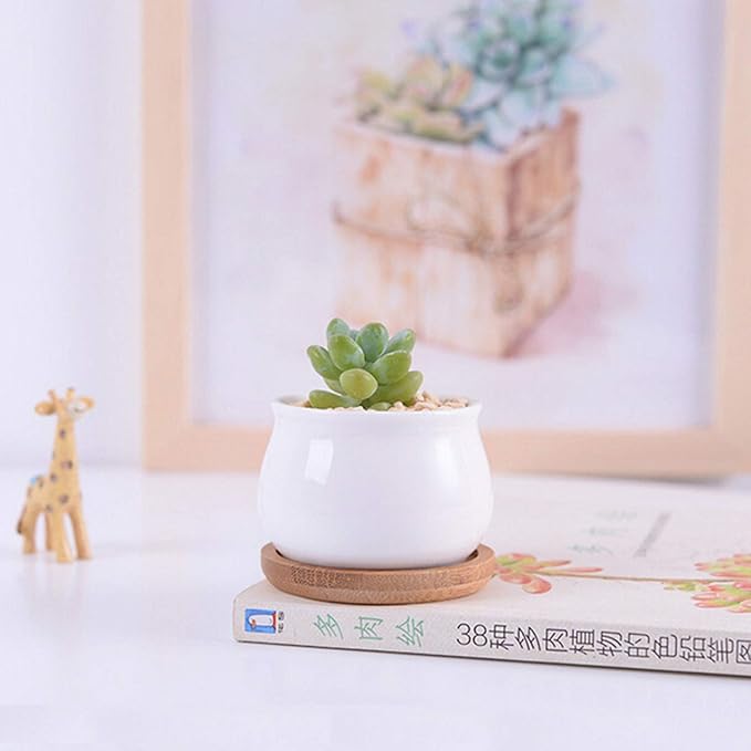 Succluent Pots ,Small Flower Pots Planter Pots with Drinage,Ceramic Flowers Pots with Bamboo Tray for Cactus(12 Pack
