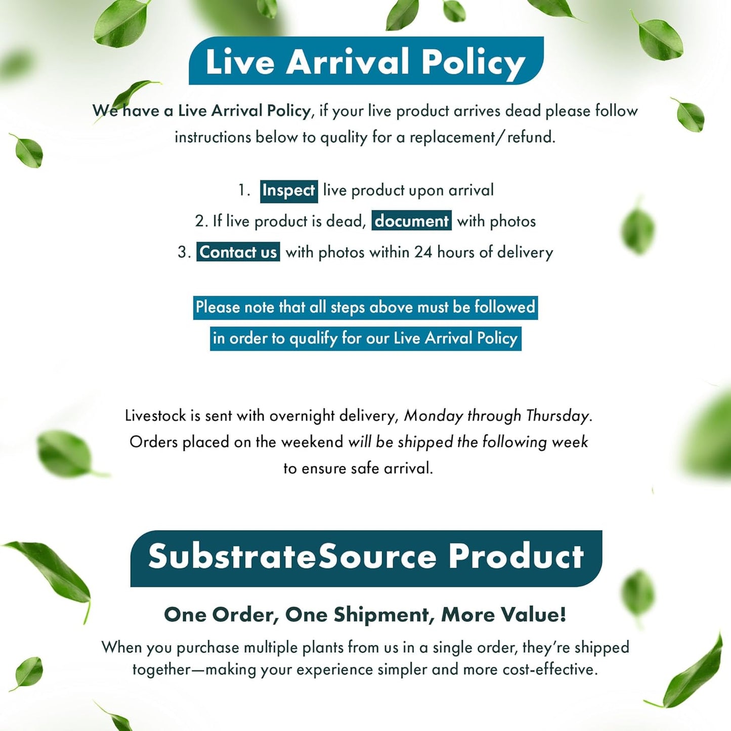 SubstrateSource Cryptocoryne Live Aquarium Plants - Freshwater Plant for Aquariums, Planted Fish Tanks - Beginner Friendly (Lucens, 5 Pots (20-25 Plants))