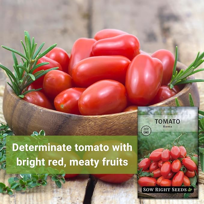 Sow Right Seeds - Roma Tomato Seeds for Planting - Non-GMO Heirloom Packet with Instructions to Plant a Home Vegetable Garden - Classic Medium Red Tomato - Great for Sauce Making (1)