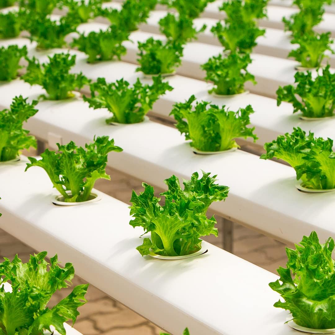 Farm Plastic Supply - Clear Greenhouse Plastic Sheeting - Ultra Durable - 8 mil - (50' x 35') - 4 Year UV Resistant Polyethylene Greenhouse Film for Gardening, Farming, Agriculture