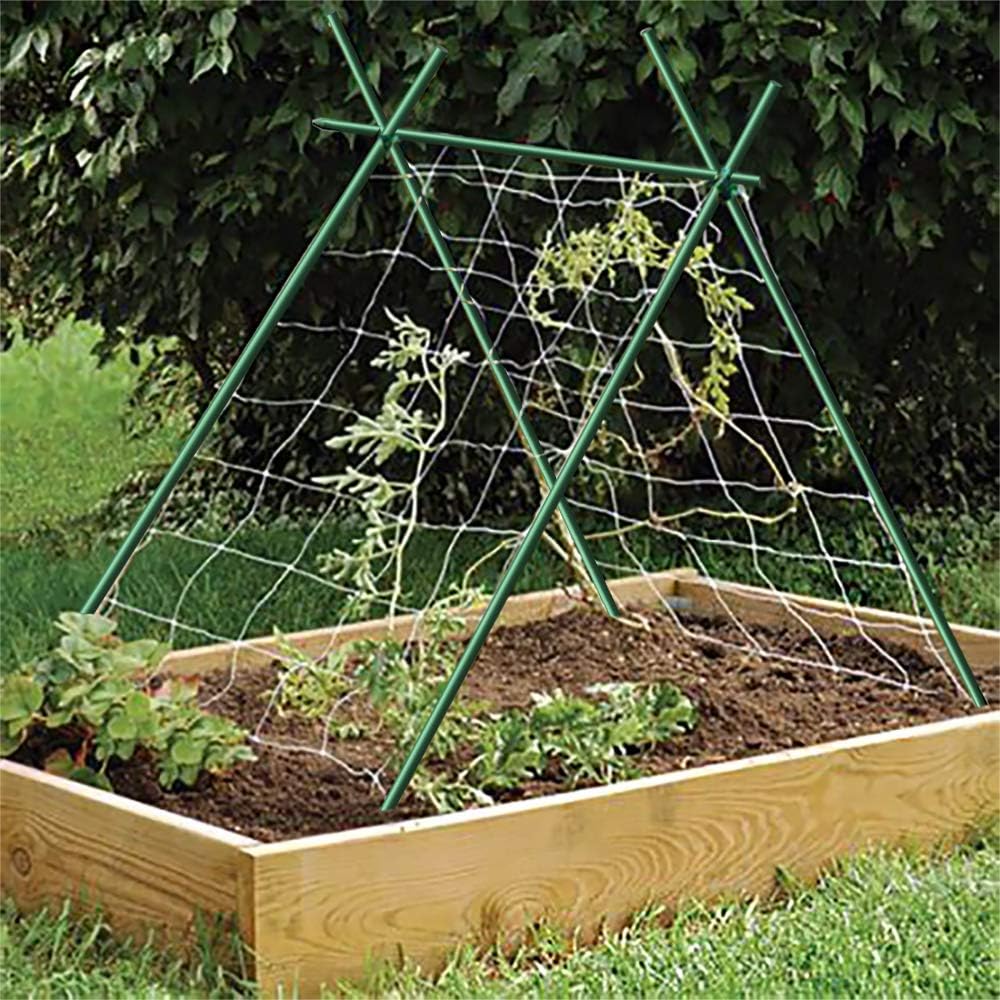 Garden Stakes 3-Ft for Climbing Plants Supports Pole 50 Pack EcoStake Rust-Free Plant Sticks Fence Post, 5/16'' Diameter