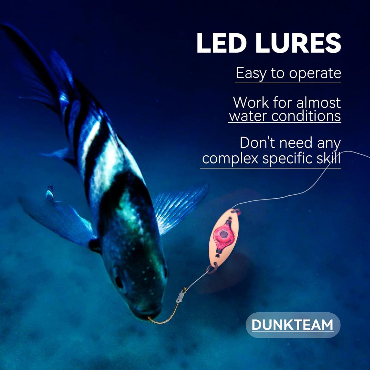 LED Underwater Fishing Lures,LED Lighted Bait Flasher,Deep Drop Fishing Lures,Fish Eye Attractive Light Bait Lure Lamp 5PCS