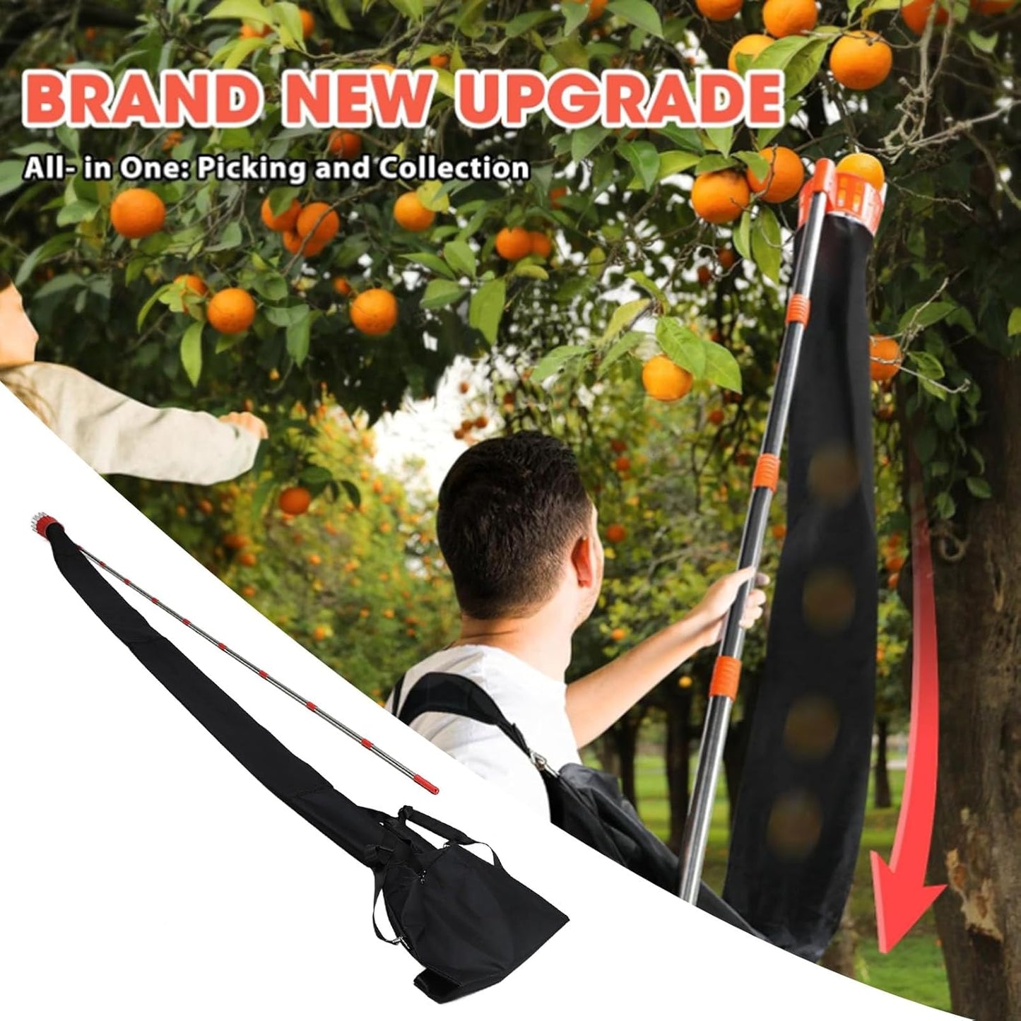 lyrlody Fruit Picker Pole Tool with Basket Telescoping Long Handle, 13FT Adjustable Orange Picker Pole Tool with Basket for Avocado Acorn Lemon Pear Mango Tree Picker