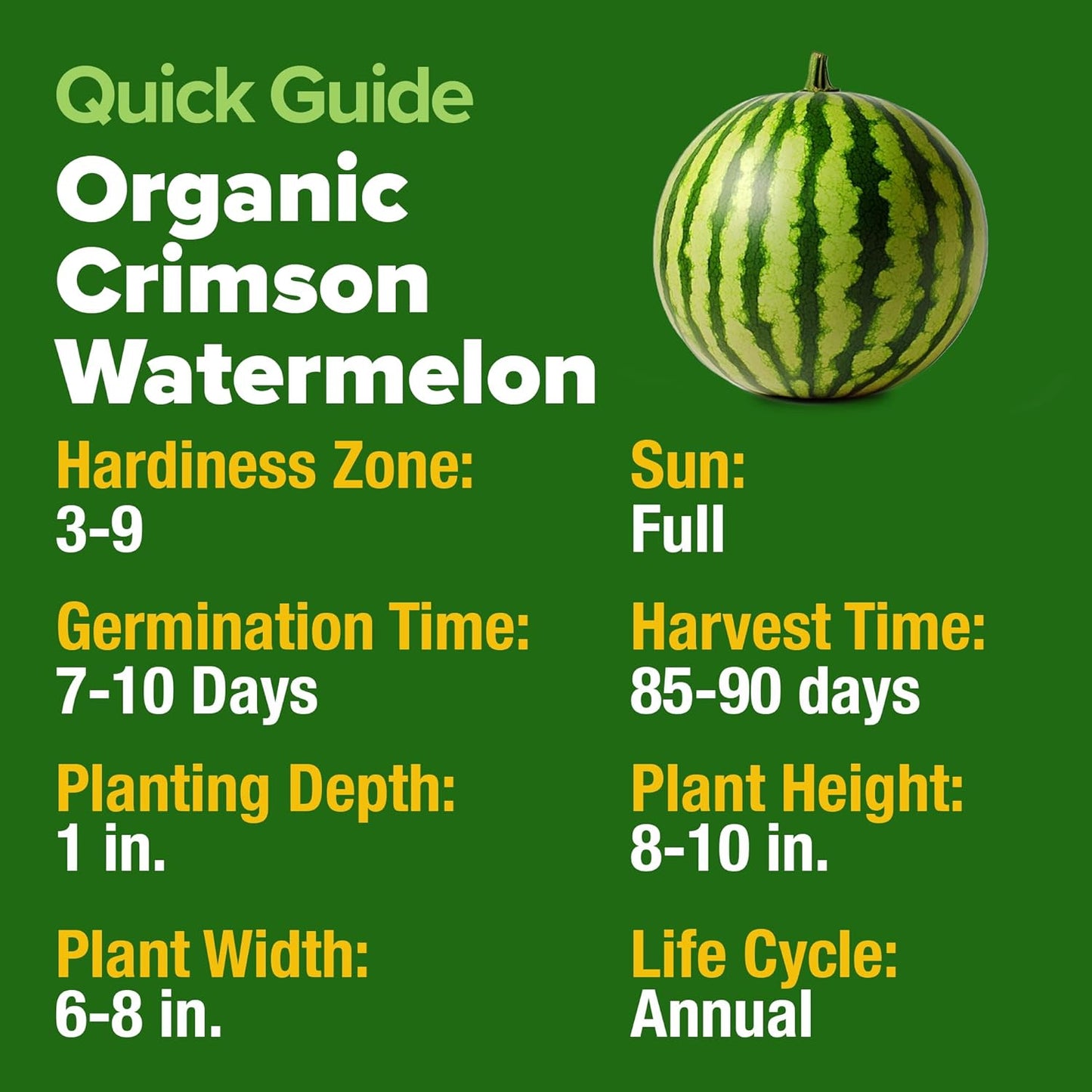 HOME GROWN π¨π¦π π£π₯ππ ππ¨π π’π₯πππ‘ππ Watermelon Vegetable Seeds (Crimson Sweet) β 15 Non-GMO, Heirloom Water Melon (7g) for Planting in Home Gardens or Beds Outdoors β Citrullus lanatus