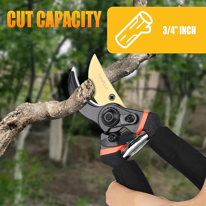 Pruning Shears, Professional SK5 Quality Durable Titanium Plated Rust-Proof Bypass Pruning Shears with Soft Cushion Grip Handle, Hand Pruners, Clippers for Gardening, 8 Inch, LFXP1003B