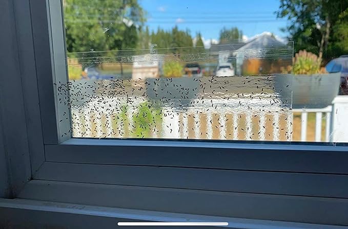 Faicuk 20-Pack Clear Window Fly Traps Sticky Flys Strip for Indoor Houseflies Nontoxic and Pesticide-Free