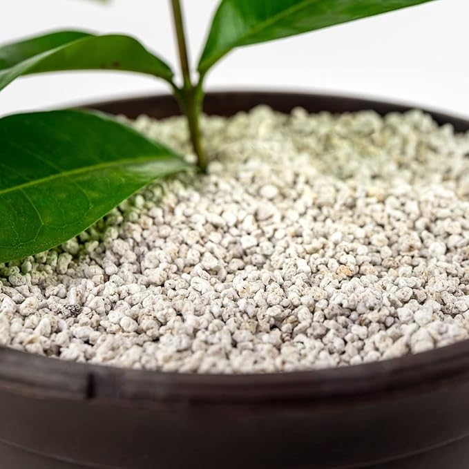 Organic Perlite β Medium/Fine Grade (5qt) Horticultural Soil Amendment for Indoor & Outdoor Container Plants for Drainage Management and Enhanced Growth