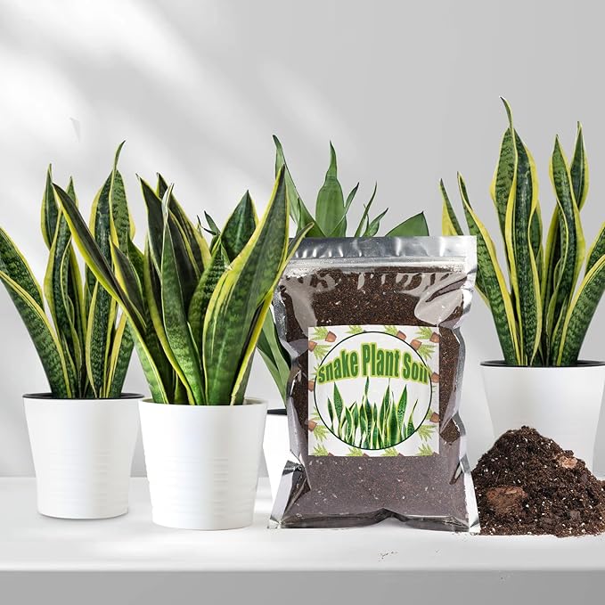 Premium Snake Plant Soil Mix 1qt, Indoor Plants Potting Mix for All Potted Snake Plants, Promote Healthy Growth and Easy Care