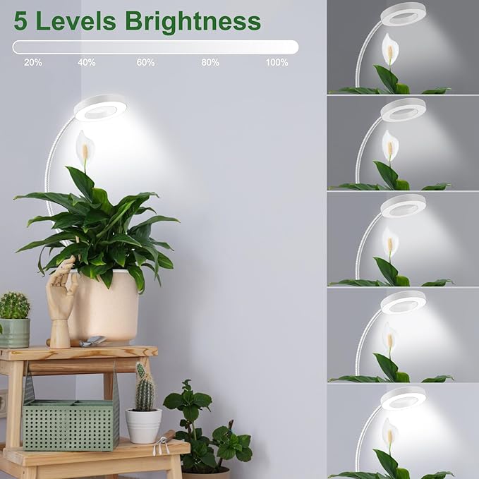 Wolezek 2 in 1 Grow Lights for Indoor Plants, 3 Colors Plant Lights for Indoor Growing with 360ยฐ Gooseneck, 48 LEDs Full Spectrum Plant Grow Lights Indoor, 6/12/16H Timer, 5 Brightness, White 1 Pack