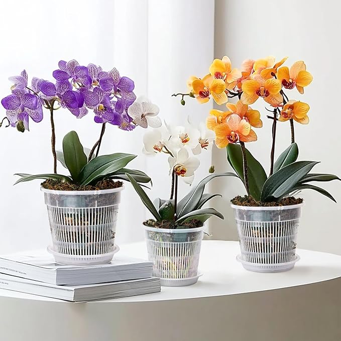 T4U Orchid Pot, 6 Pack 5.5 Inch Clear Orchid Pots with Holes and Saucers for Repotting, Plastic Flower Plant Pot with Drainage for Indoor Outdoor Plants, Slotted Orchids Planter for Root Health