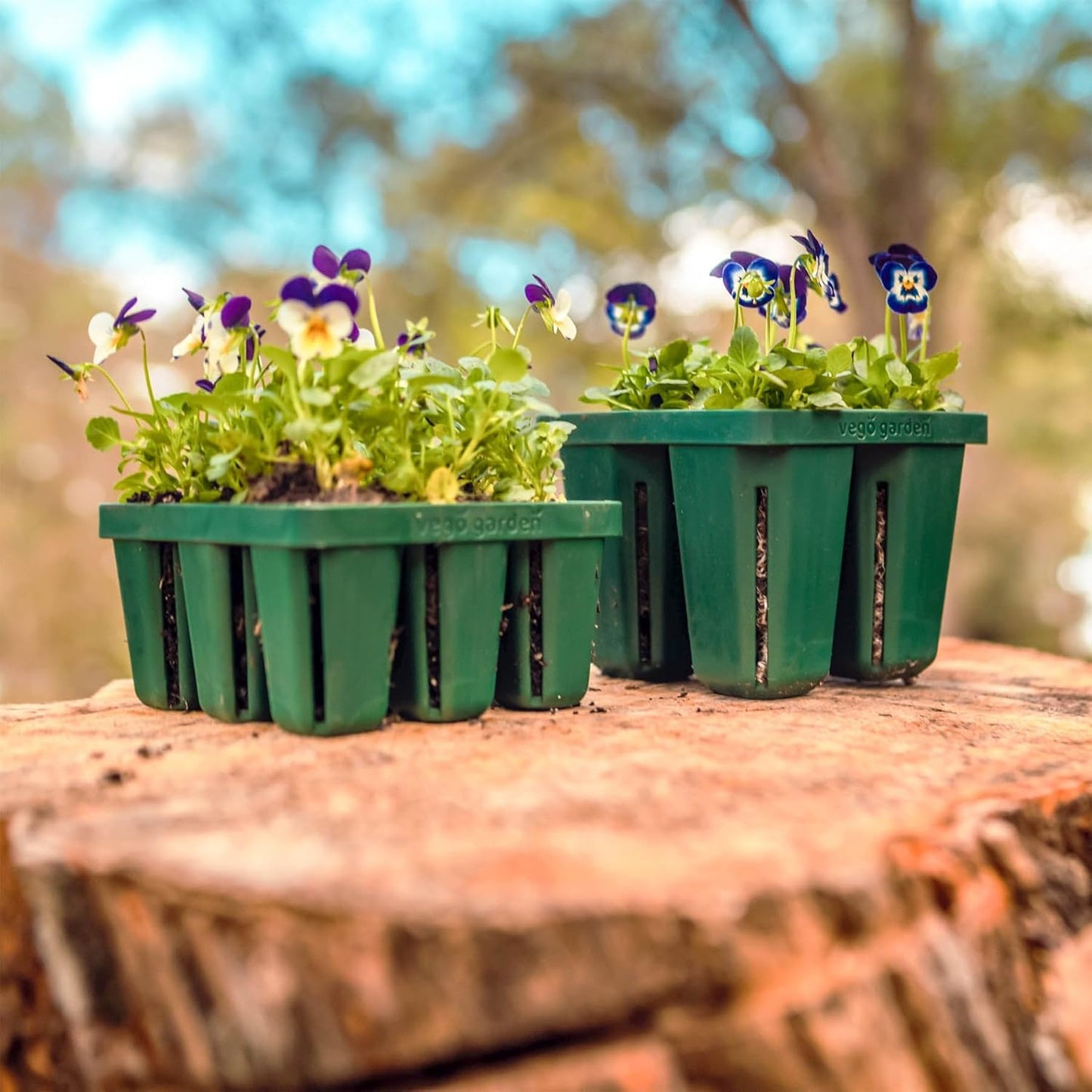 Vego garden Jumbo Seedling Trays Without Lids, 16 Pack Reusable Propagator Growing Starter Tray for Larger Plants, Heavy-Duty Plastic Germination Trays (4-Cell per Tray)