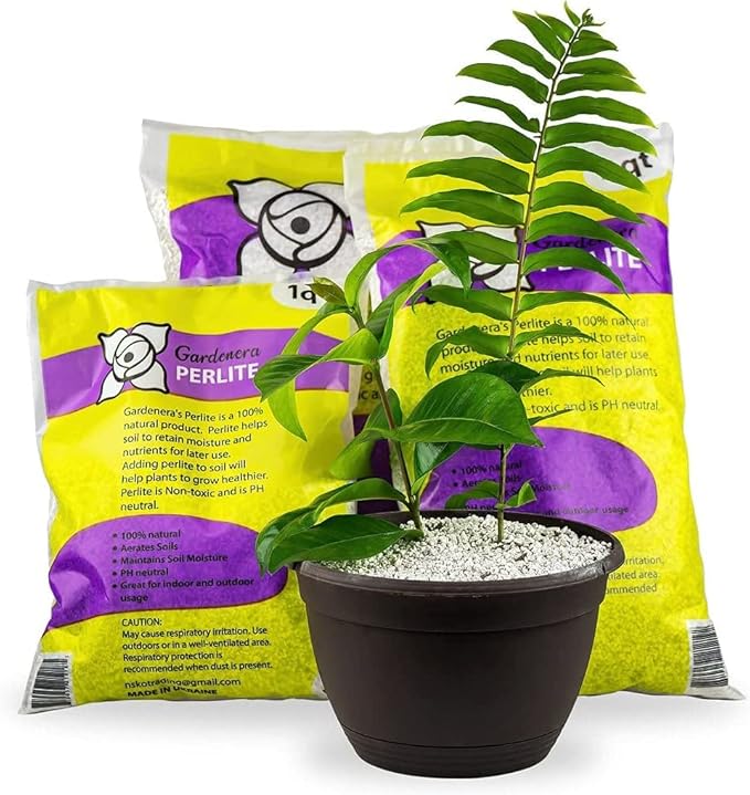 Organic Perlite β Medium/Fine Grade (5qt) Horticultural Soil Amendment for Indoor & Outdoor Container Plants for Drainage Management and Enhanced Growth