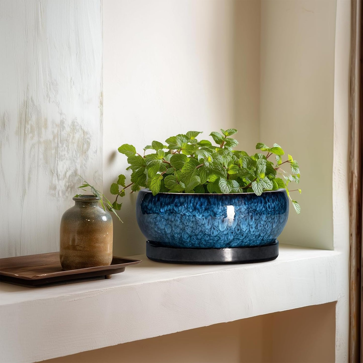 Bonsai Pots 8 Inch - Ceramic Succulent Planter for Indoor Outdoor, Round Bonsai Planter with Drainage Hole and Saucer, Shallow Ceramic Planters Bowl, Patio Decor, Housewarming Gift, Blue