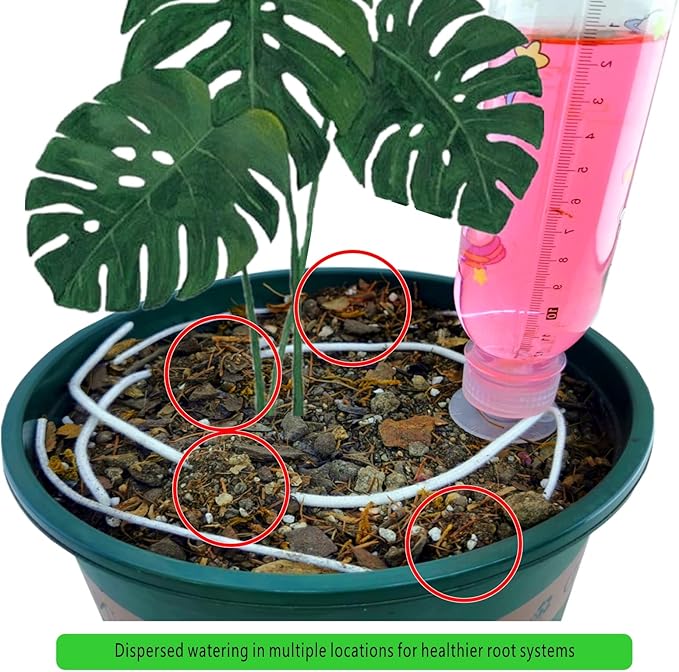 Plant Watering Reservoir, Suitable for Everyday and Holiday use, Automatic drip Irrigation with microadjuster Switch for Indoor and Outdoor,Large and Small Plants (Pack of 6)