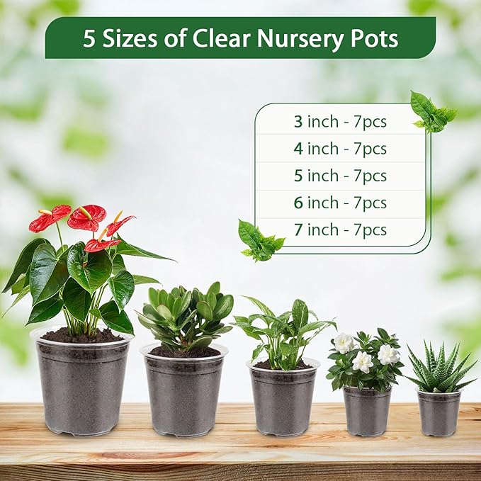 RAOOKIF 35 Pcs Clear Nursery Pots for Plants, 7/6/5/4/3 Inch Clear Plant Pots with Drainage Holes, Seed Starter Plastic Pots for Plants, Flower, Herb, Bonsai, Succulent, Vegetable