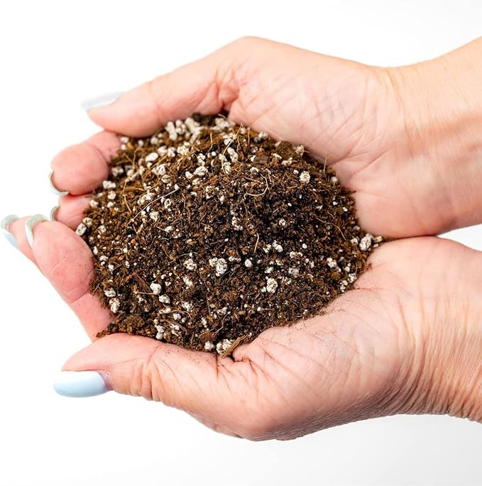 Premium Organic Potting Soil for Beets - (5 Quart Bag)